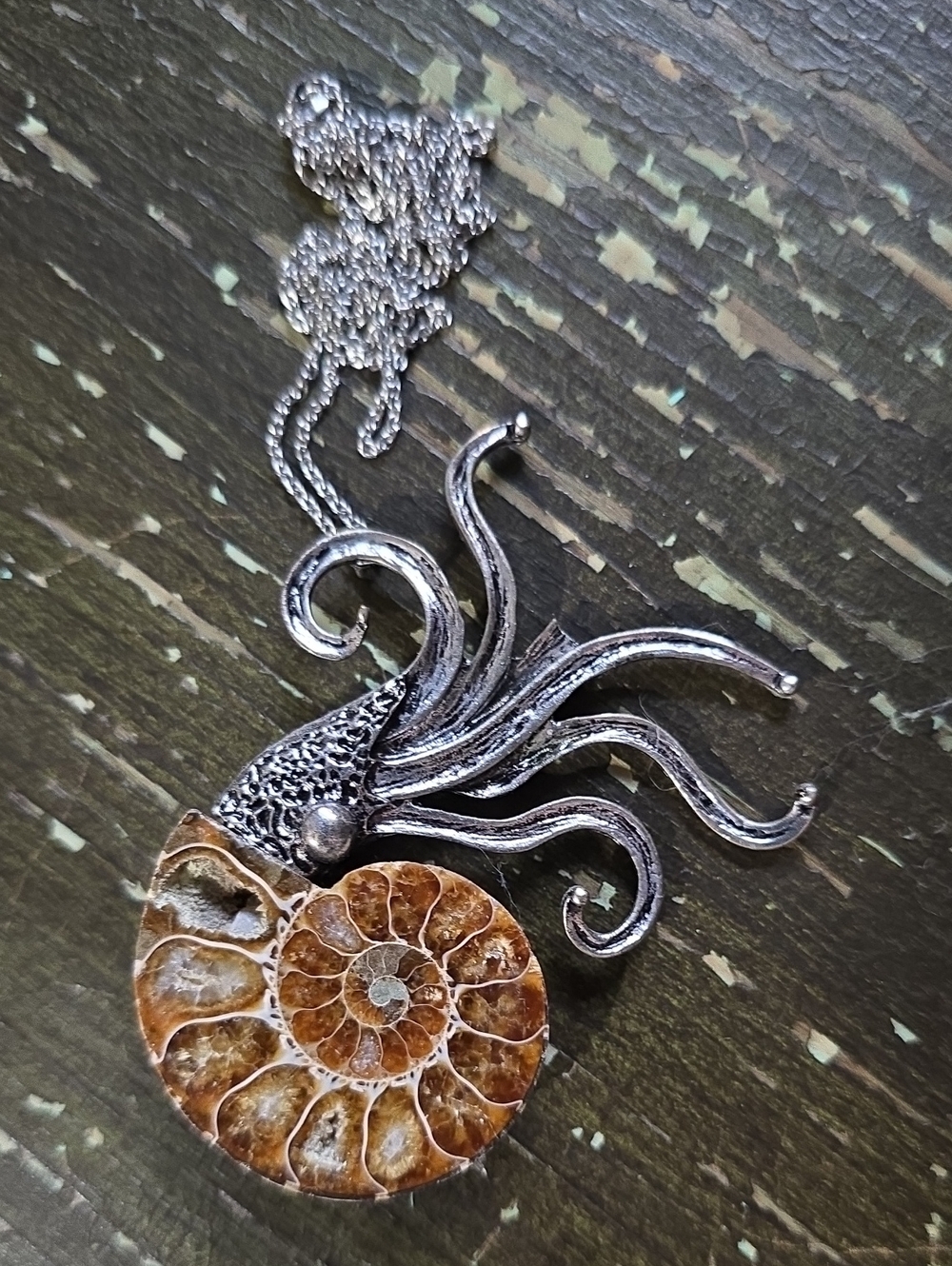 Silver Nautilus Pendant Necklace with Brown Ammonite Shell
